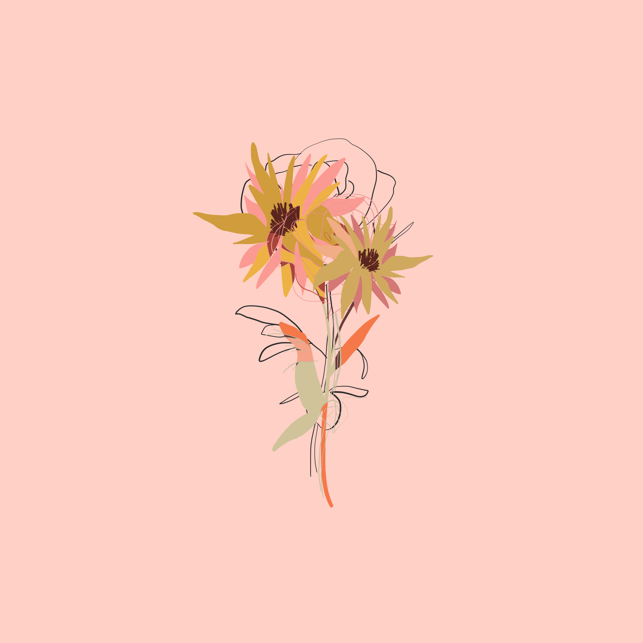 IMG_3092.PNG