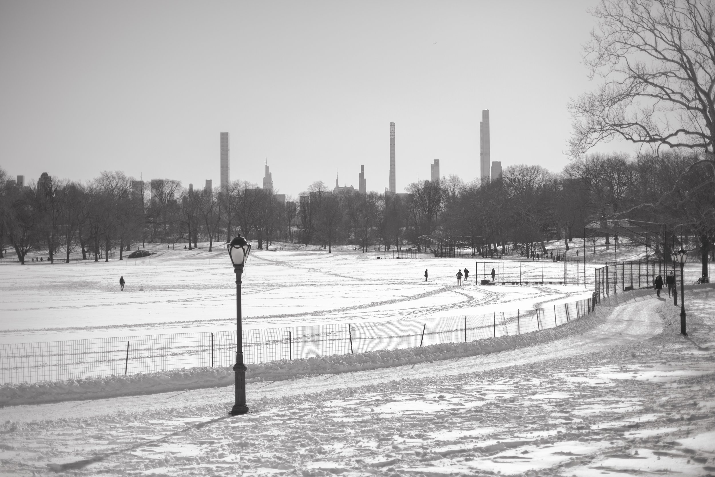 Black and White Photo of Central Park