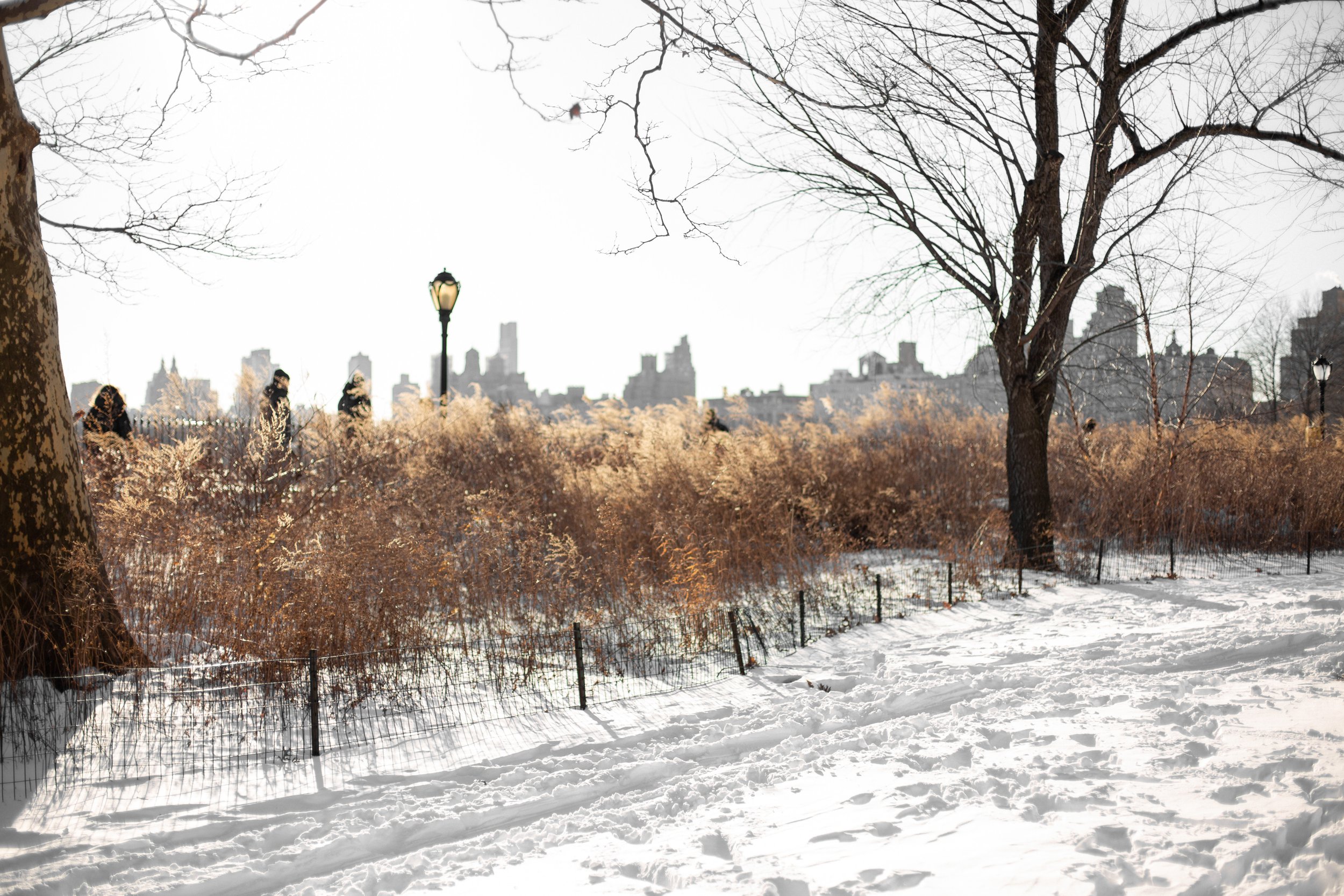 A snowy reservoir at Central Park