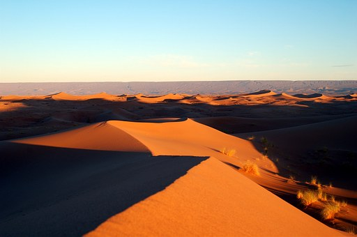 desierto.png