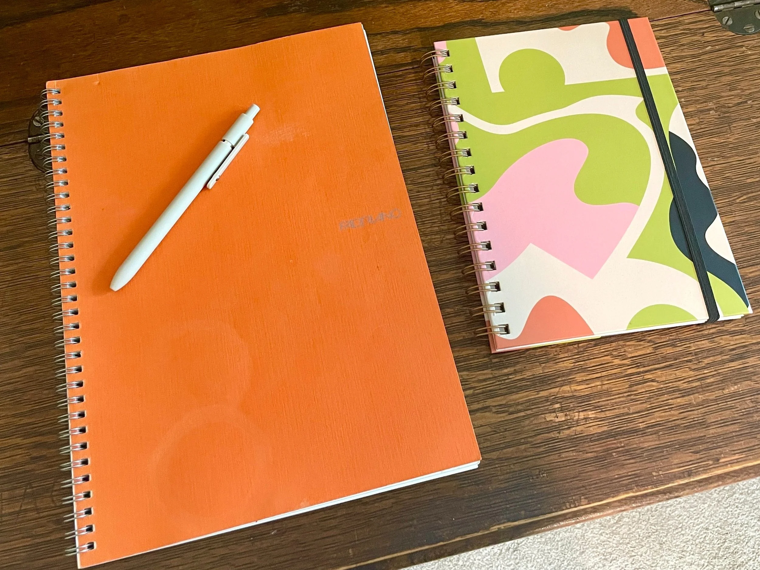 A New Start Takes Root: How Loss Sprouted a Book Project