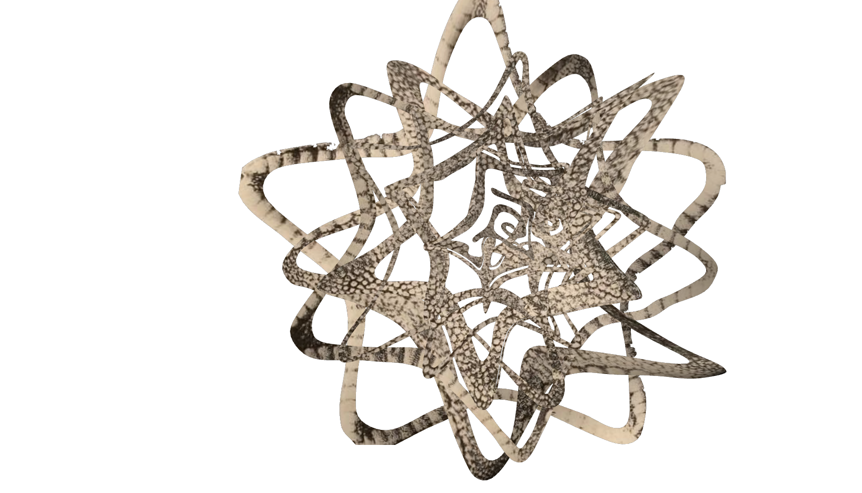 starfish 2.png