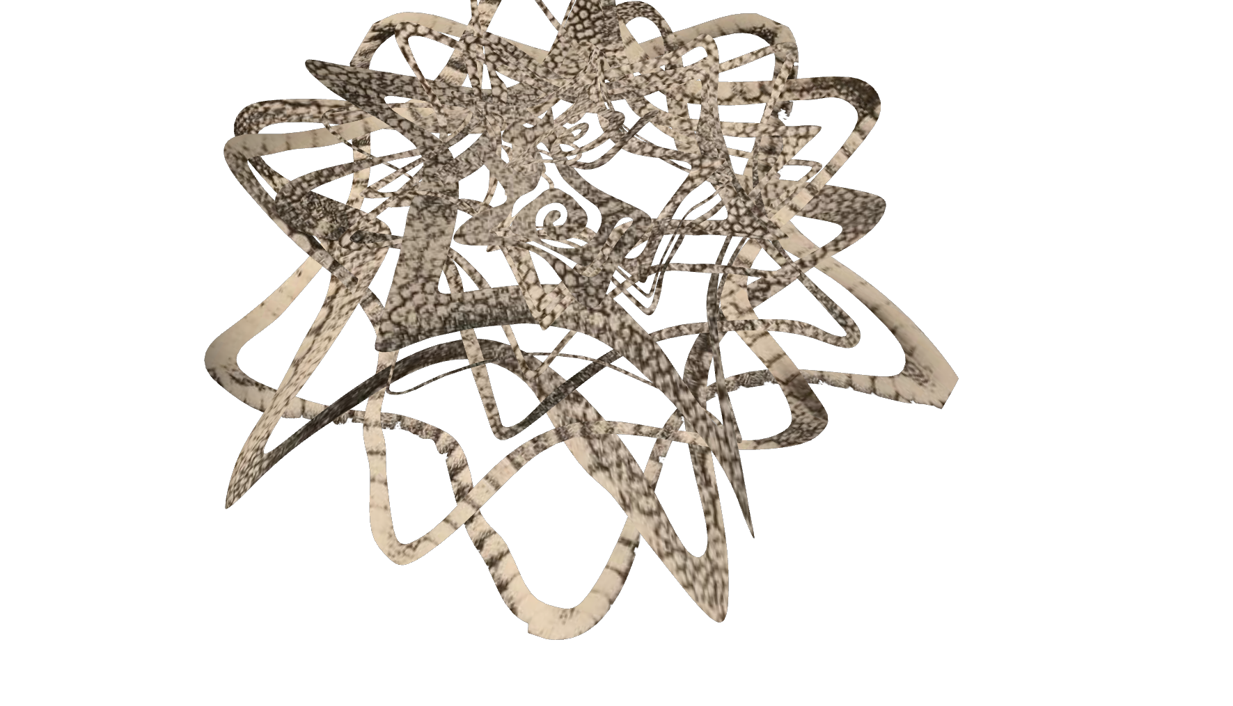 Starfish3.png