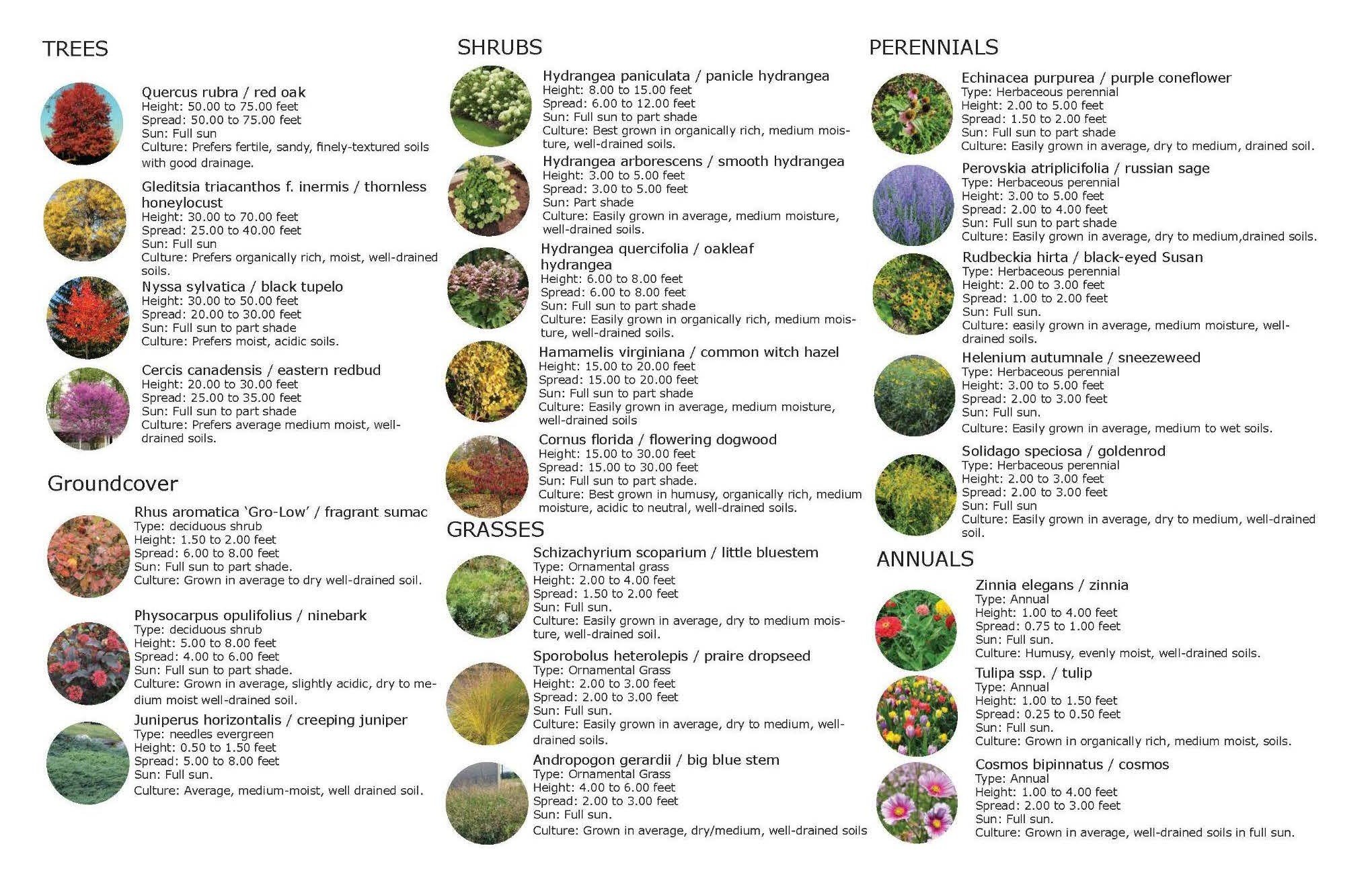 Pinup Info..._Page_5 Copy.jpg