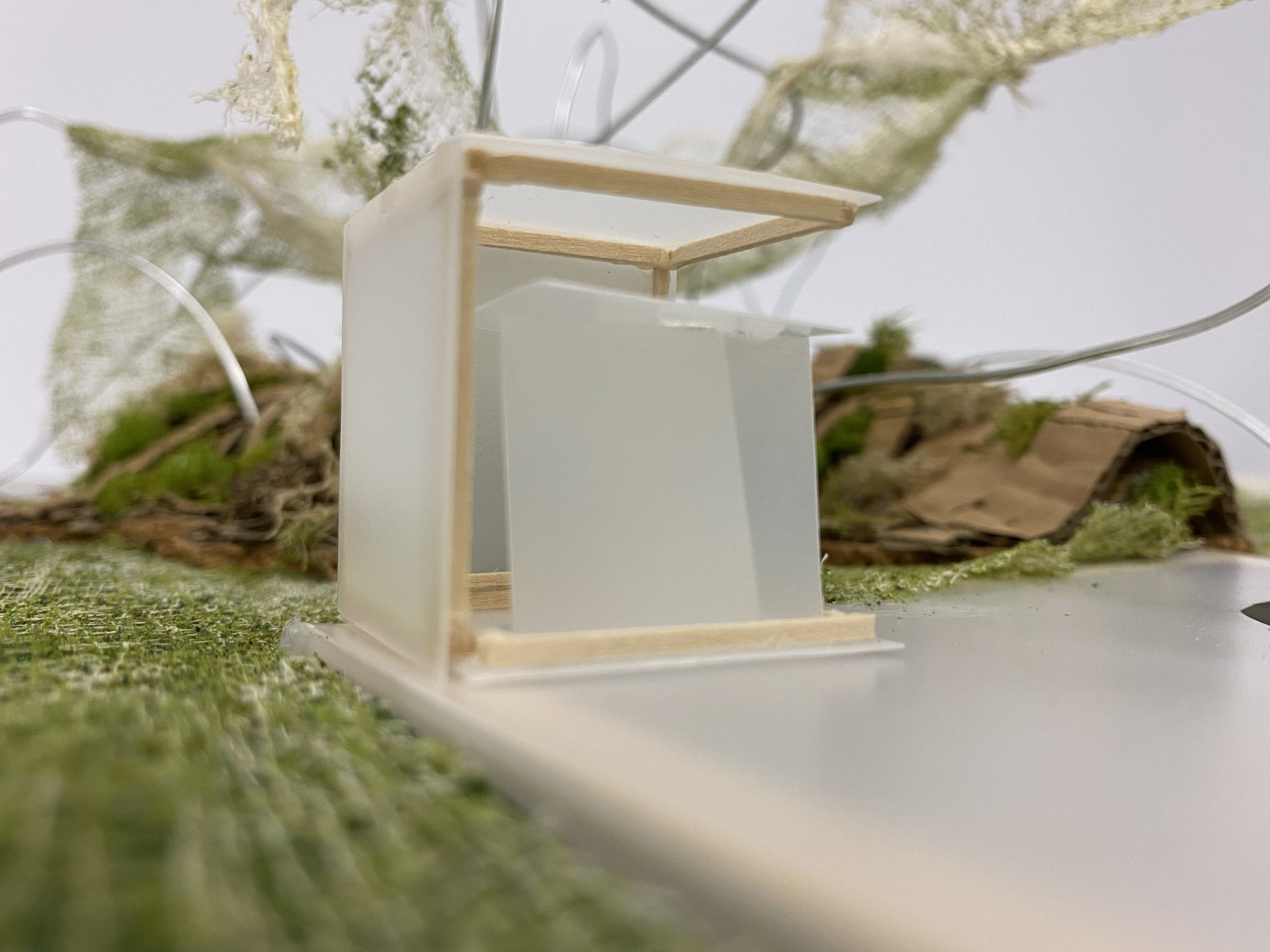 Model4.jpg