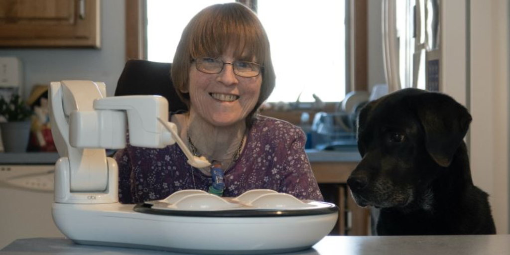 Blogger Dog Buffy writes about Obi 