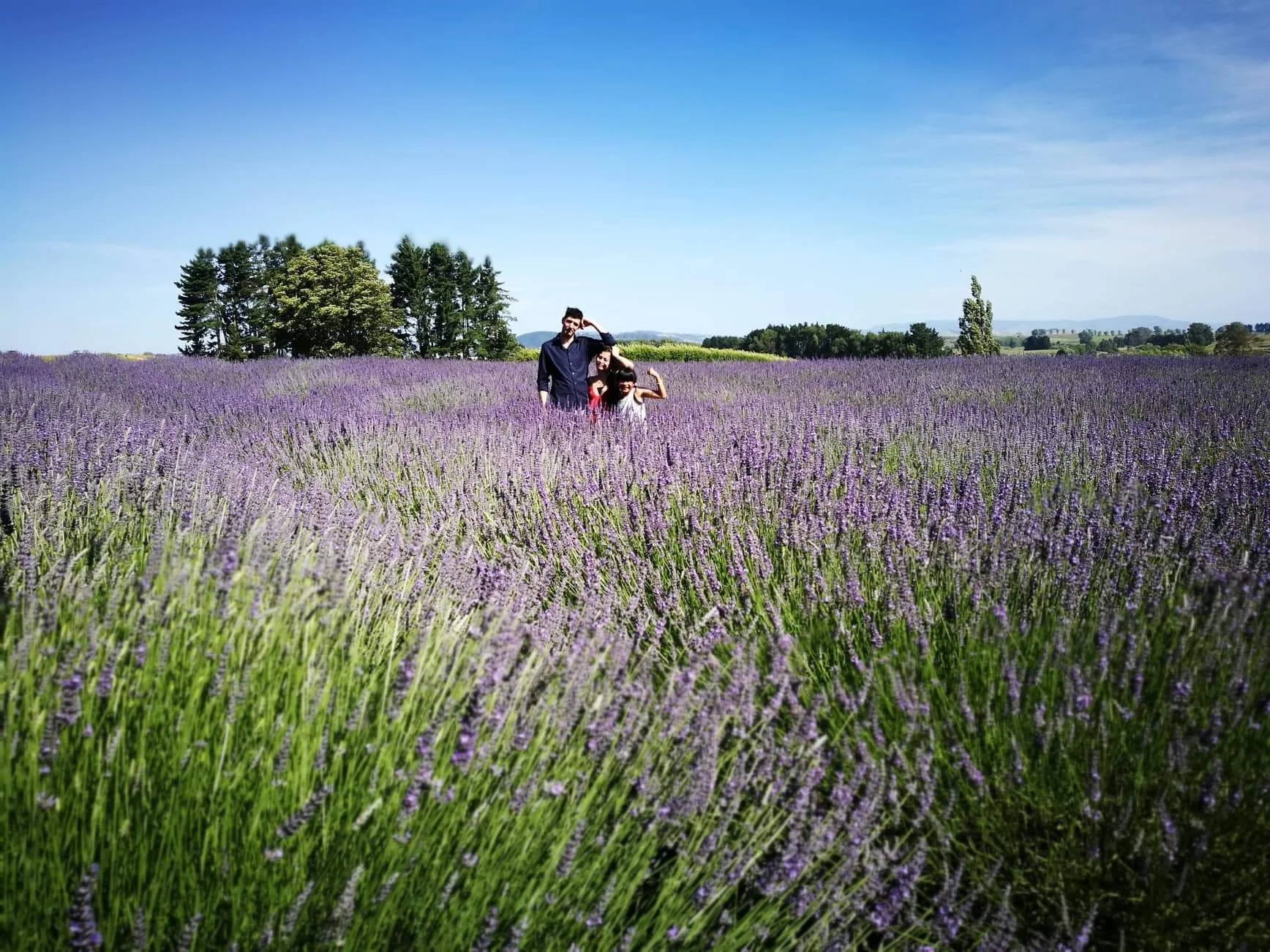 Alphra Lavender farm in Kihikihi by Jesse Whitehead of Ryukyucam A beautiful family in middle of a beautiful Alphra lavender farm in Kihikihi, a small town located in the Waikato region. 30 minutes ride from the farm is Jesse’s hometown Hamilton, a city in the North island of New Zealand. He is the first Kiwi I got to know well and I am always very amazed by how down-to-earth and kind he is. He reminded me that there is no need to “assess” every assignment and live in the moment. 