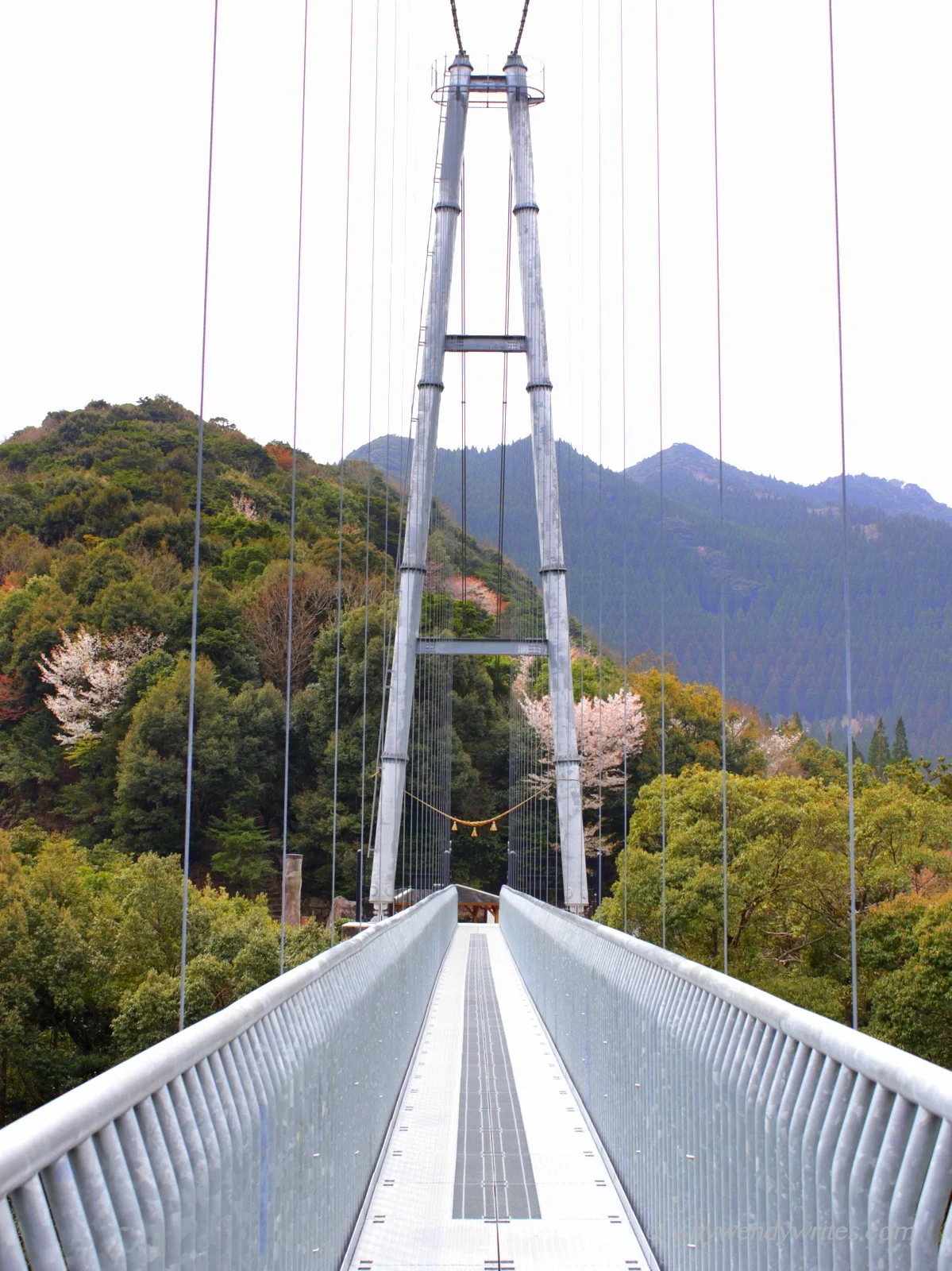 Aya Teruha Suspension Bridge Experience the Trill of "Walking in the