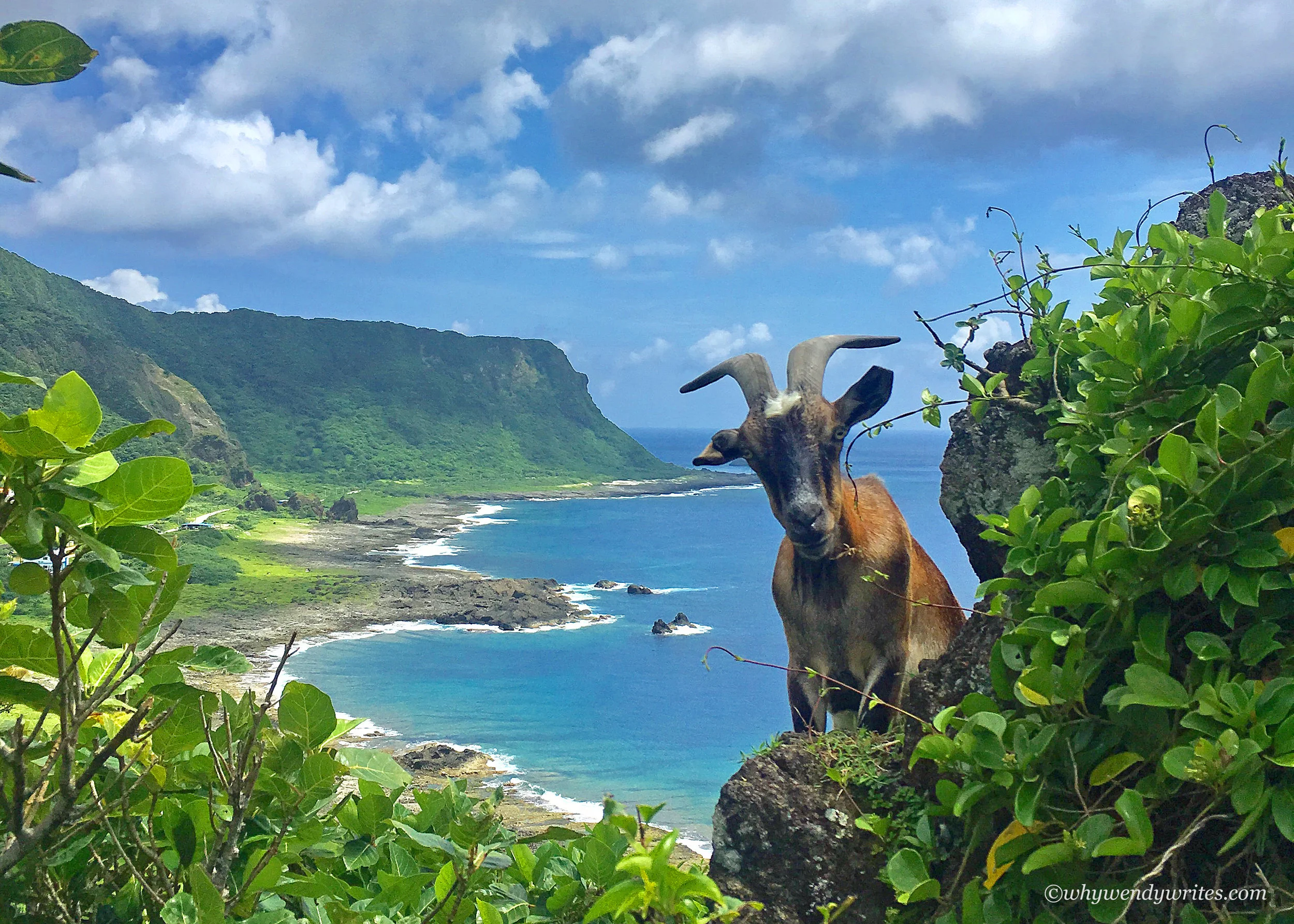 Lanyu 2.jpg
