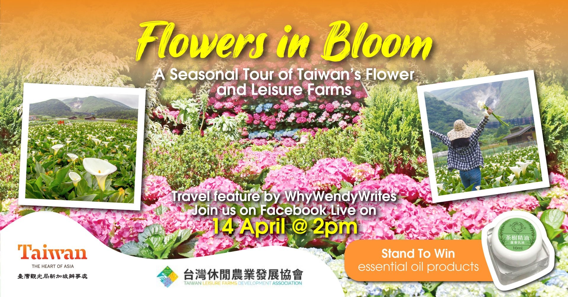 Guide to Flower Viewing and Leisure Farms in Taiwan — Why Wendy Writes