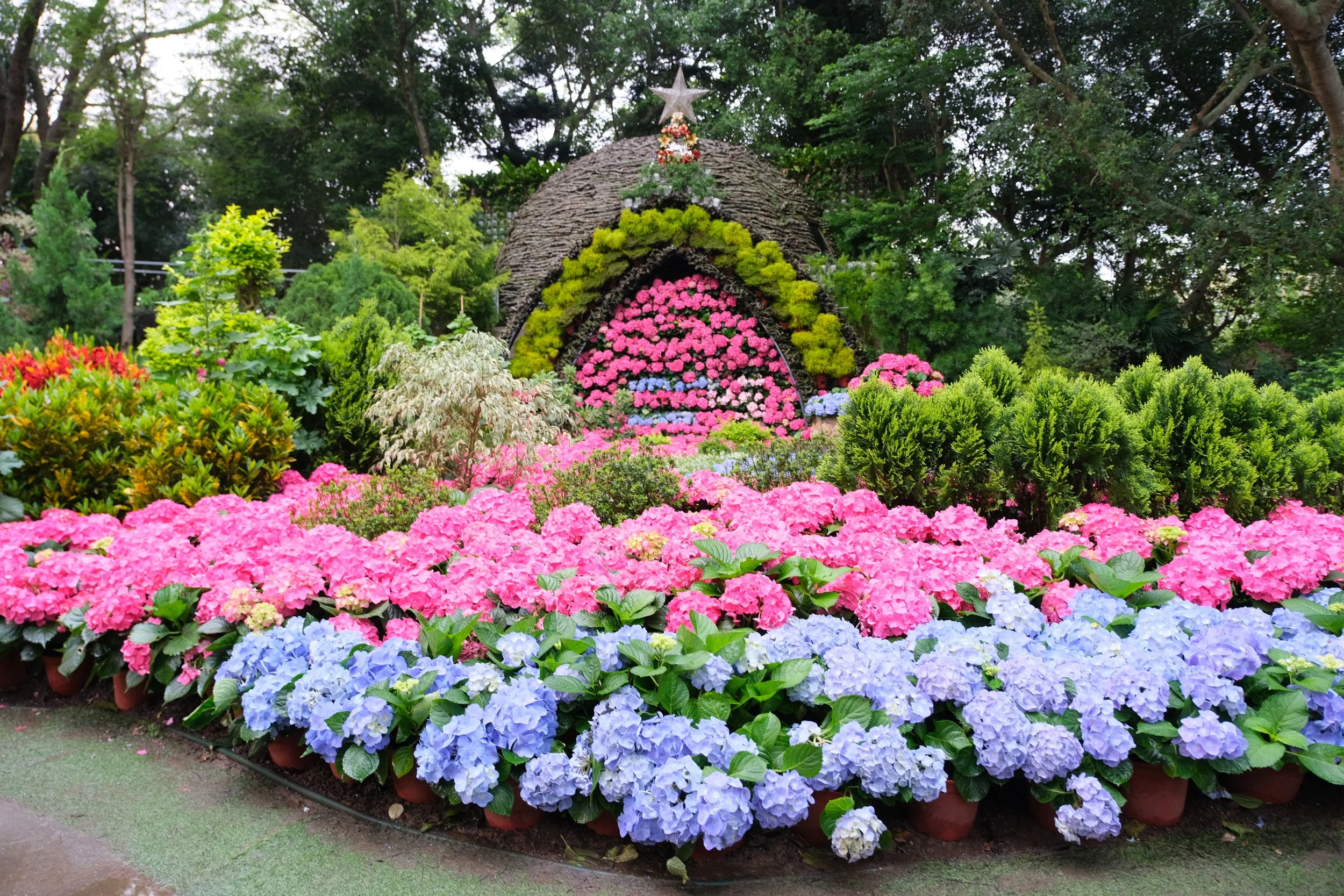 Guide to Flower Viewing and Leisure Farms in Taiwan — Why Wendy Writes