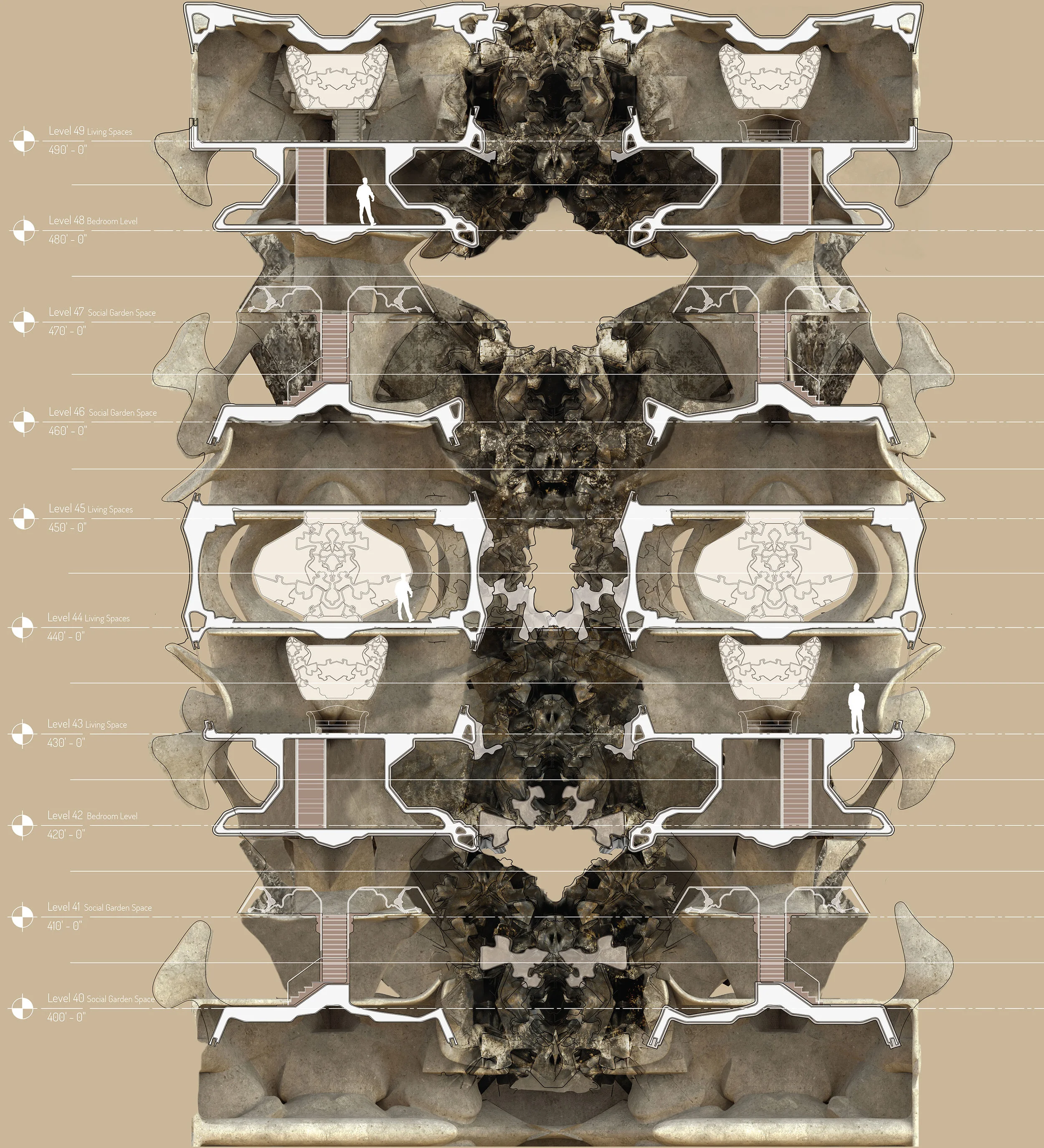 Bird Space - Section Cut