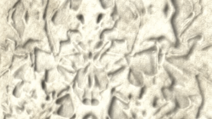BirdMaterialGIF.gif