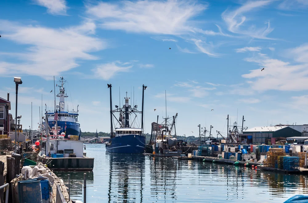 harbor sml.jpg