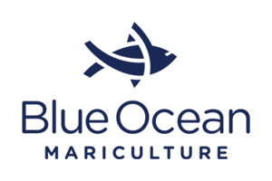 BlueOcean__300x200.png