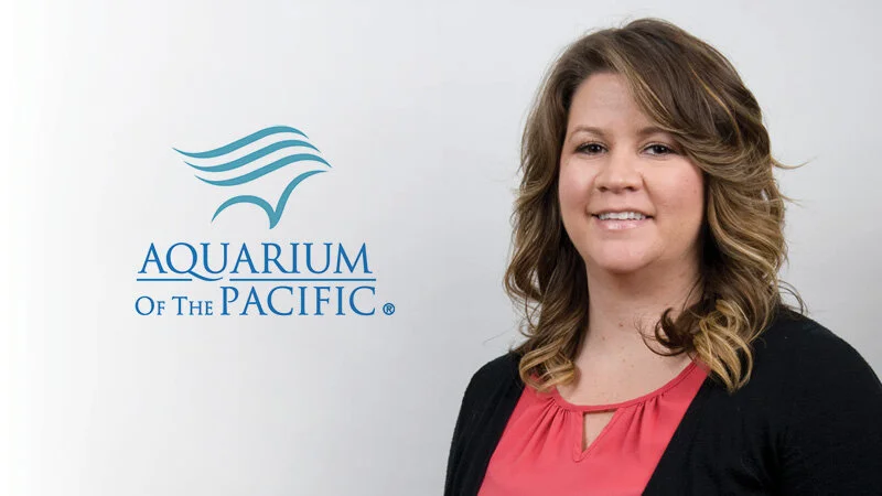 Marine Aquaculture: A tool for diversification strategies to combat climate change