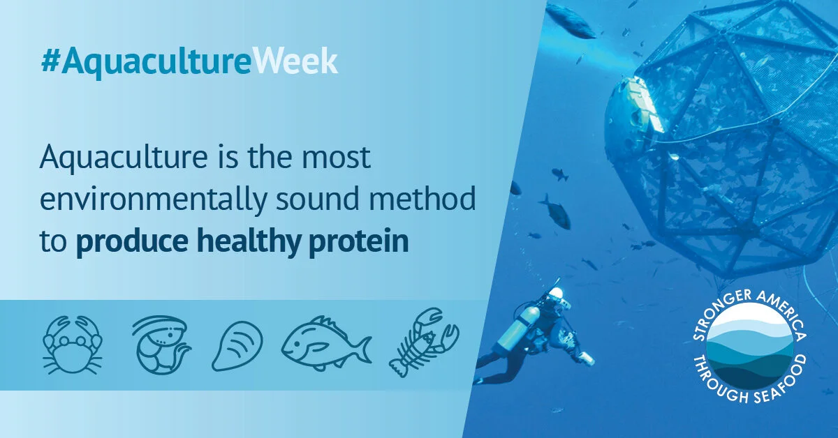 SATS Celebrates Aquaculture Week