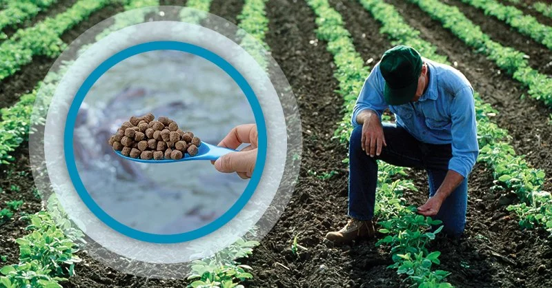  How Aquaculture Growth in Iowa Supports Economy, Creates New Jobs for Farmers