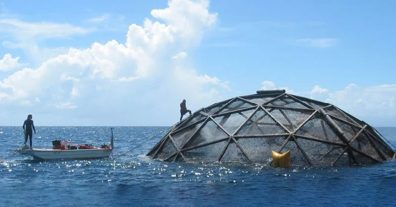 New Poll Finds Majority of Voters Support Aquaculture &amp; and the Need for Congress to Act to Expand Sustainable Seafood Production