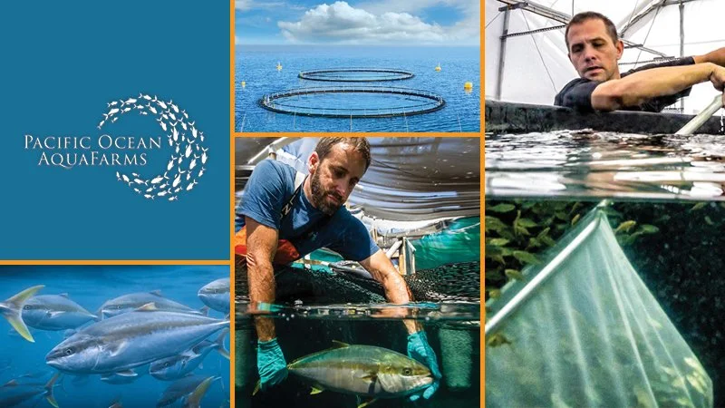 Proposed Offshore California Fish Farm to Create 300+ Jobs