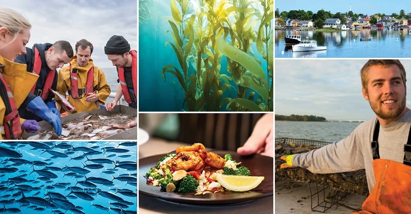 SATS Recognizes Importance of Expanding U.S. Aquaculture During Aquaculture Week