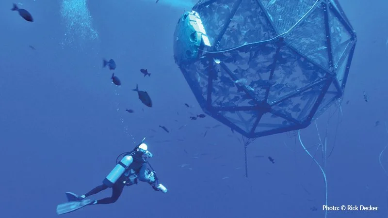 House Hearing Demonstrates Bipartisan Interest in Growing U.S. Aquaculture