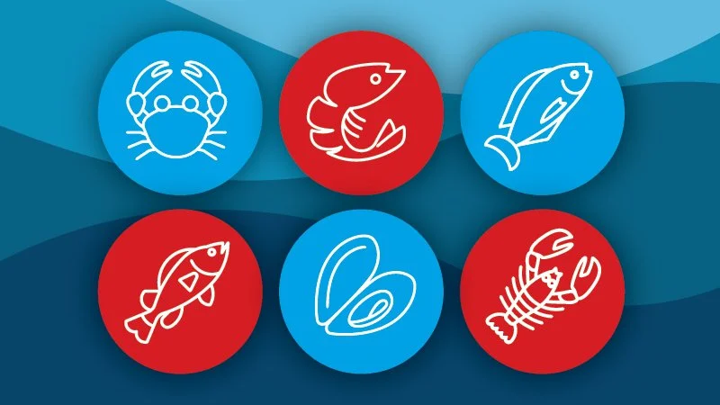 Open Ocean Aquaculture Poised to Take Off in 2026
