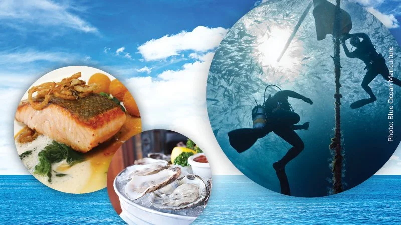 Feeding America in a Changing Climate Requires the Ocean