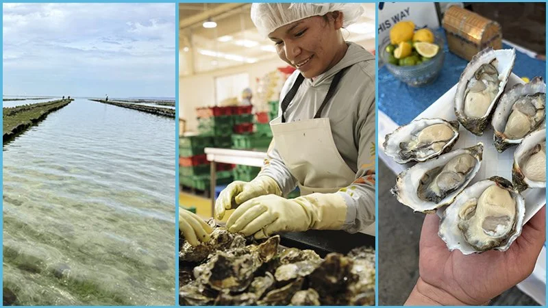 Advancing Regenerative Aquaculture to Help Build the Future of a New Industry