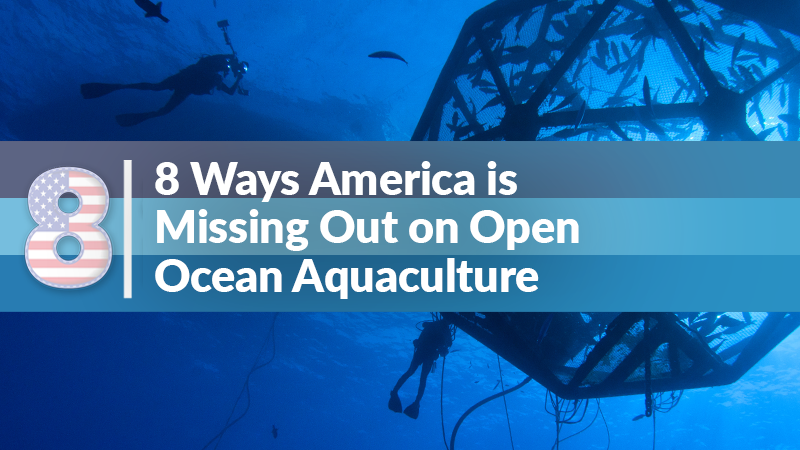 8 Ways America is Missing Out: Why a Federal Permitting Pathway for Open Ocean Aquaculture Is Urgently Needed