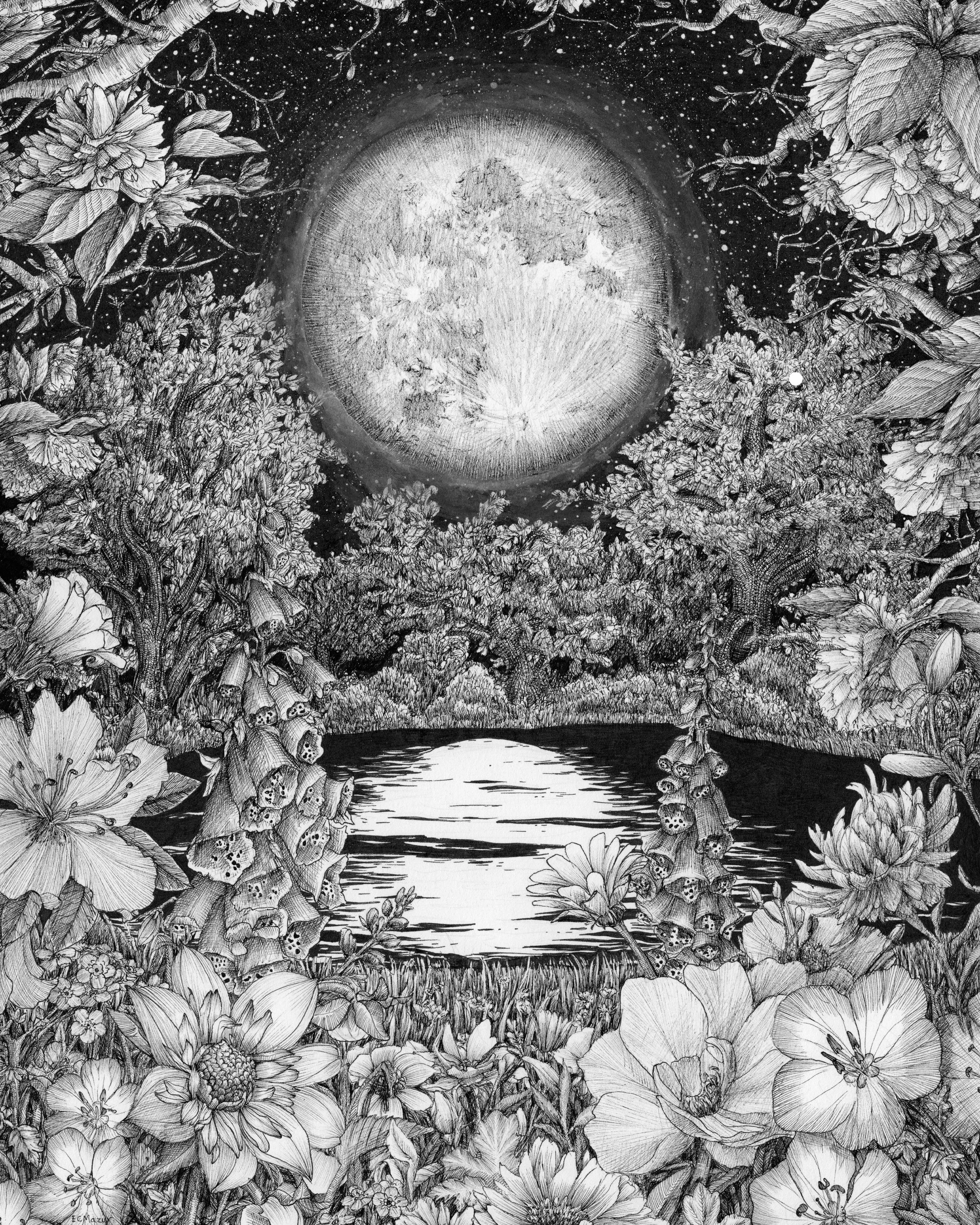 Moon Garden Reflections BW.jpg
