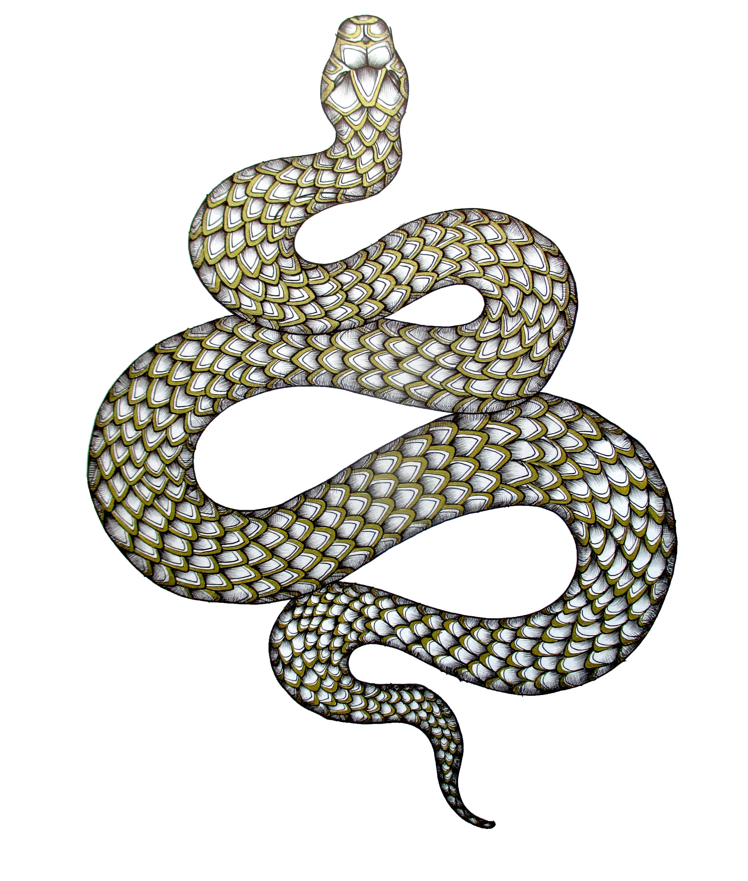 snakewallrb.jpg