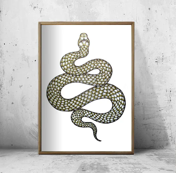 Snakes Charm FRAMED.jpg