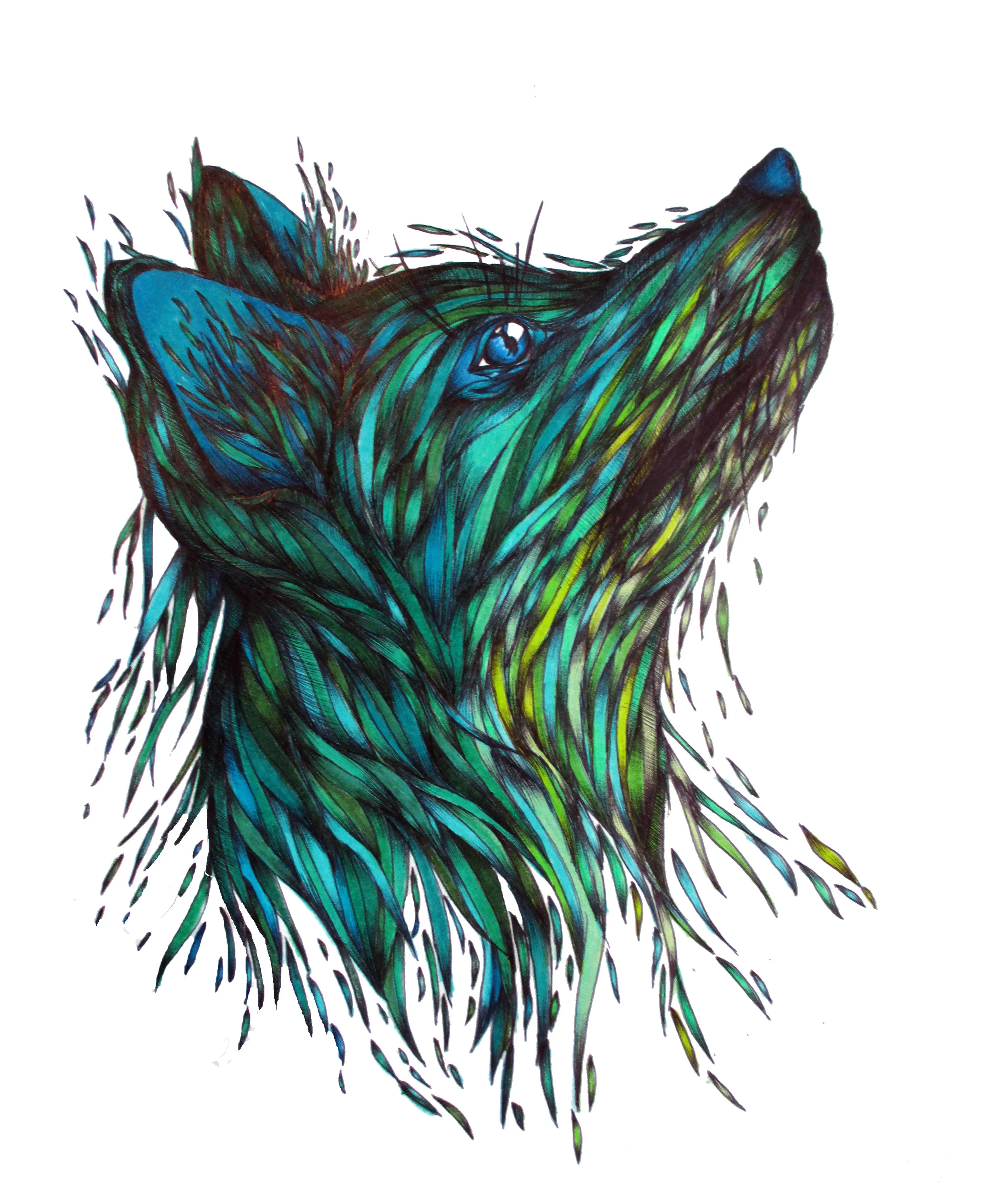 sea fox wall.jpg