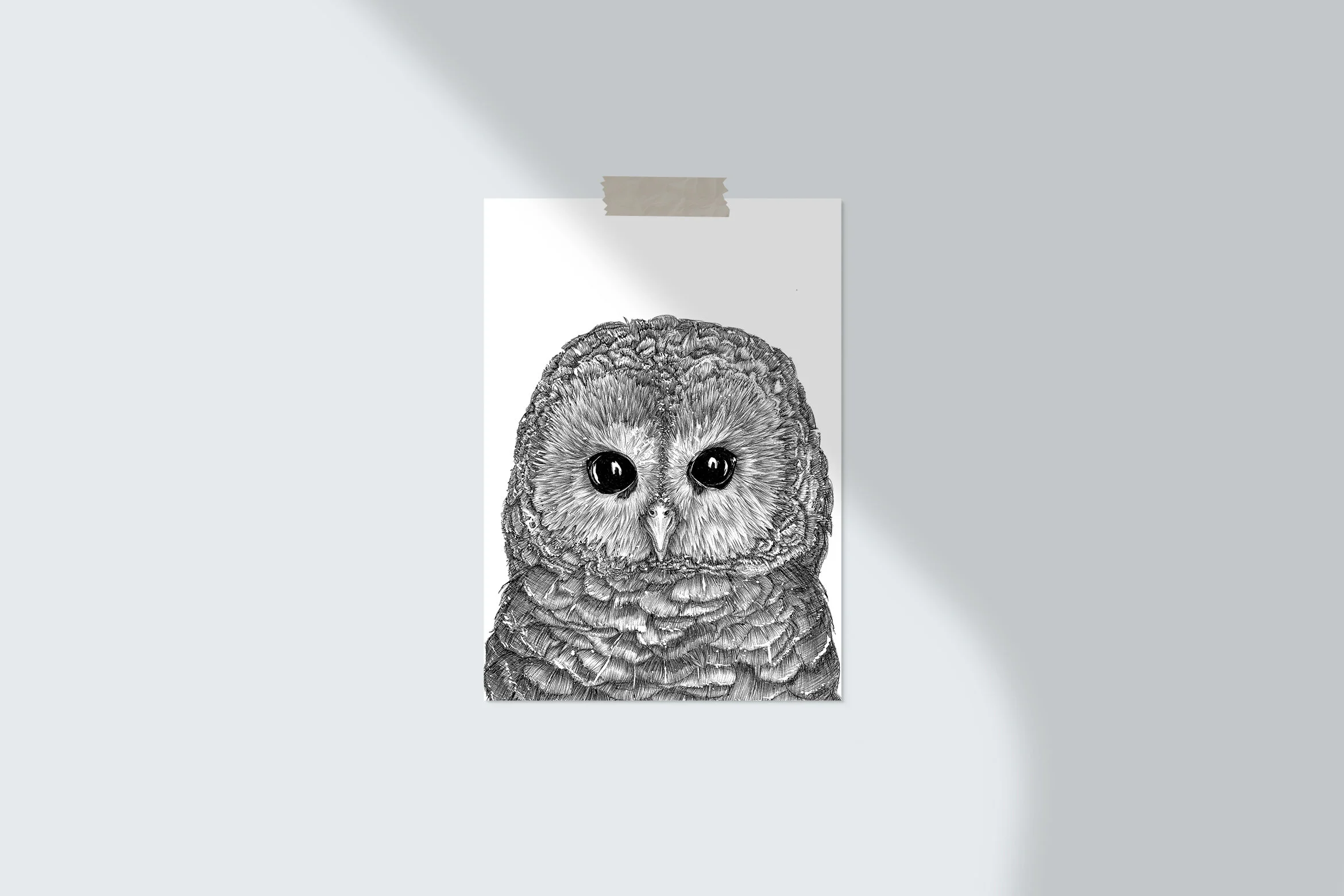 Tiny Owl Fine Art Print