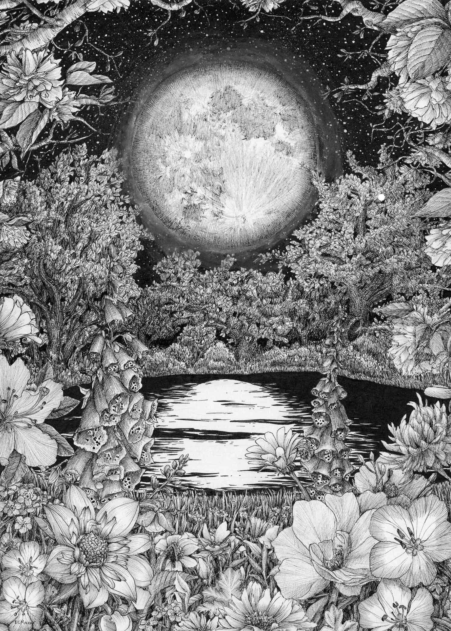 Mock up moon garden reflections.jpg
