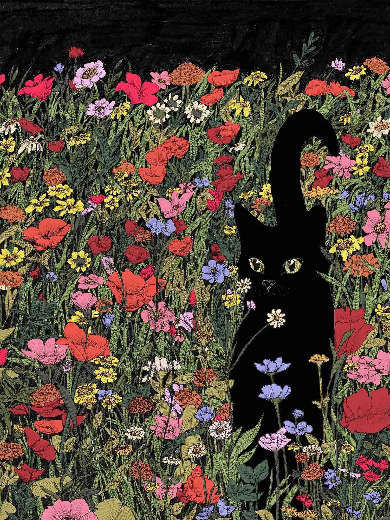 black meadow cat colour SMALL.jpg