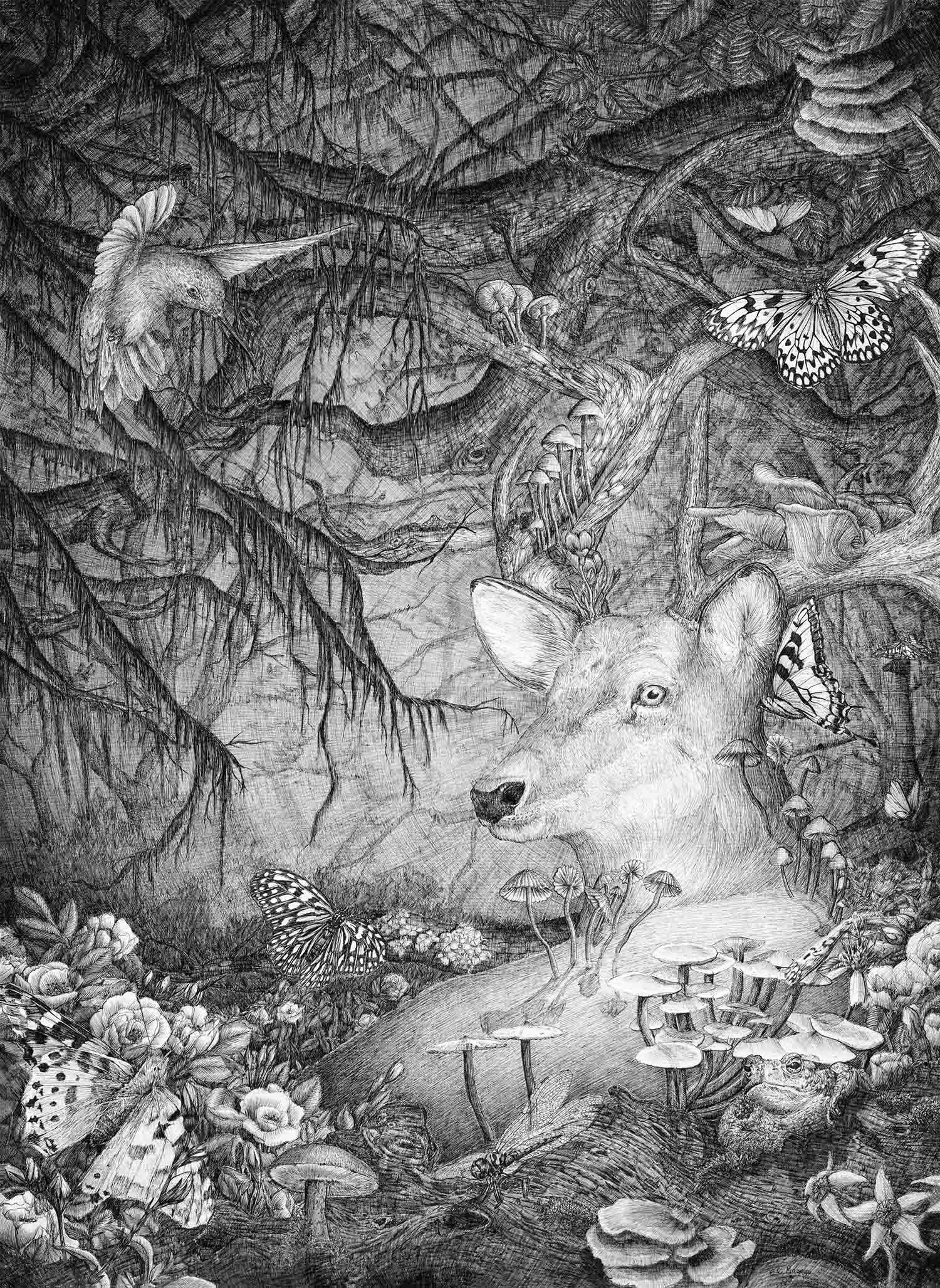 Spirit of the Forest SMALL BW.jpg