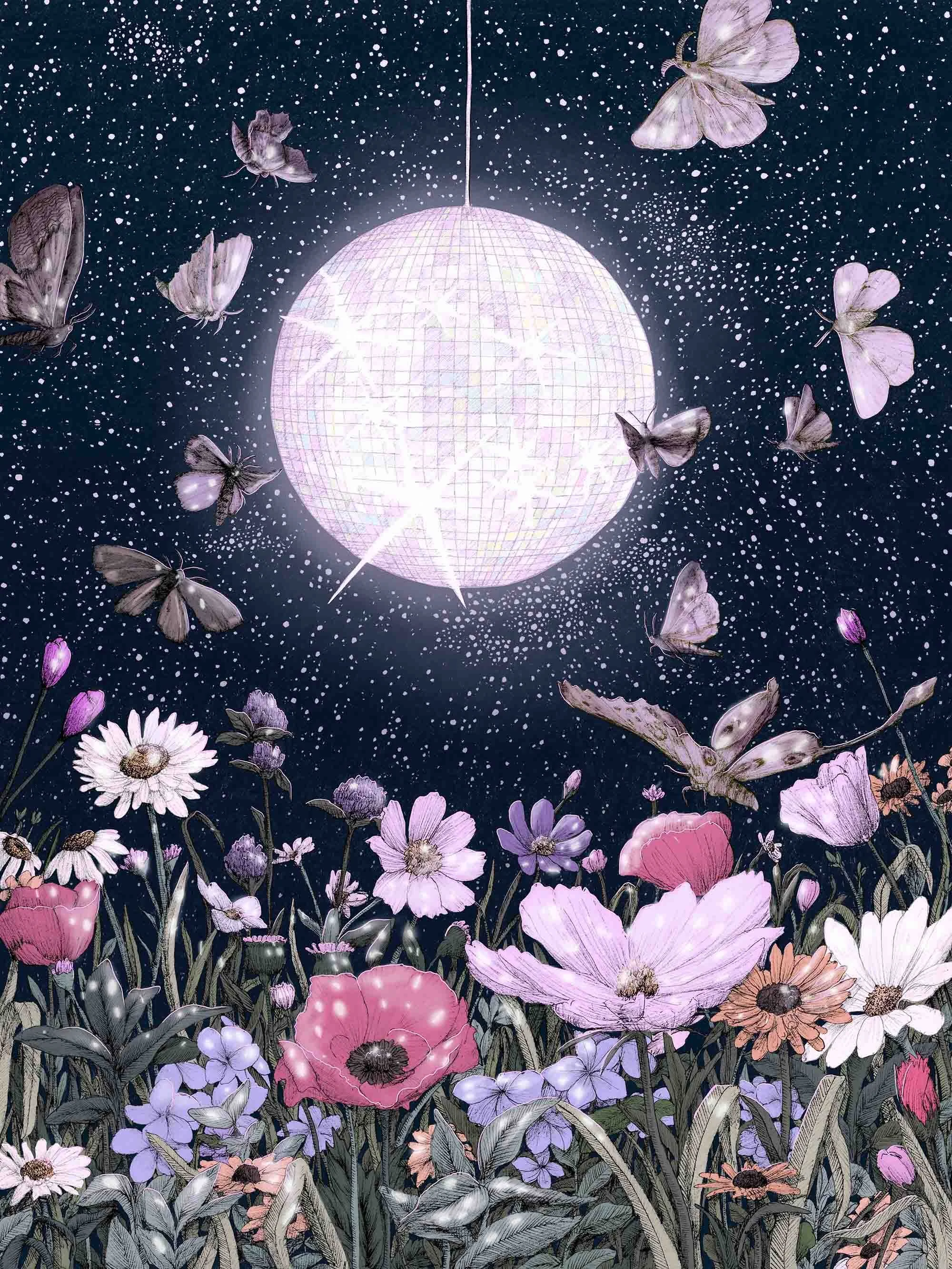 Midnight Disco Colour SMALL.jpg