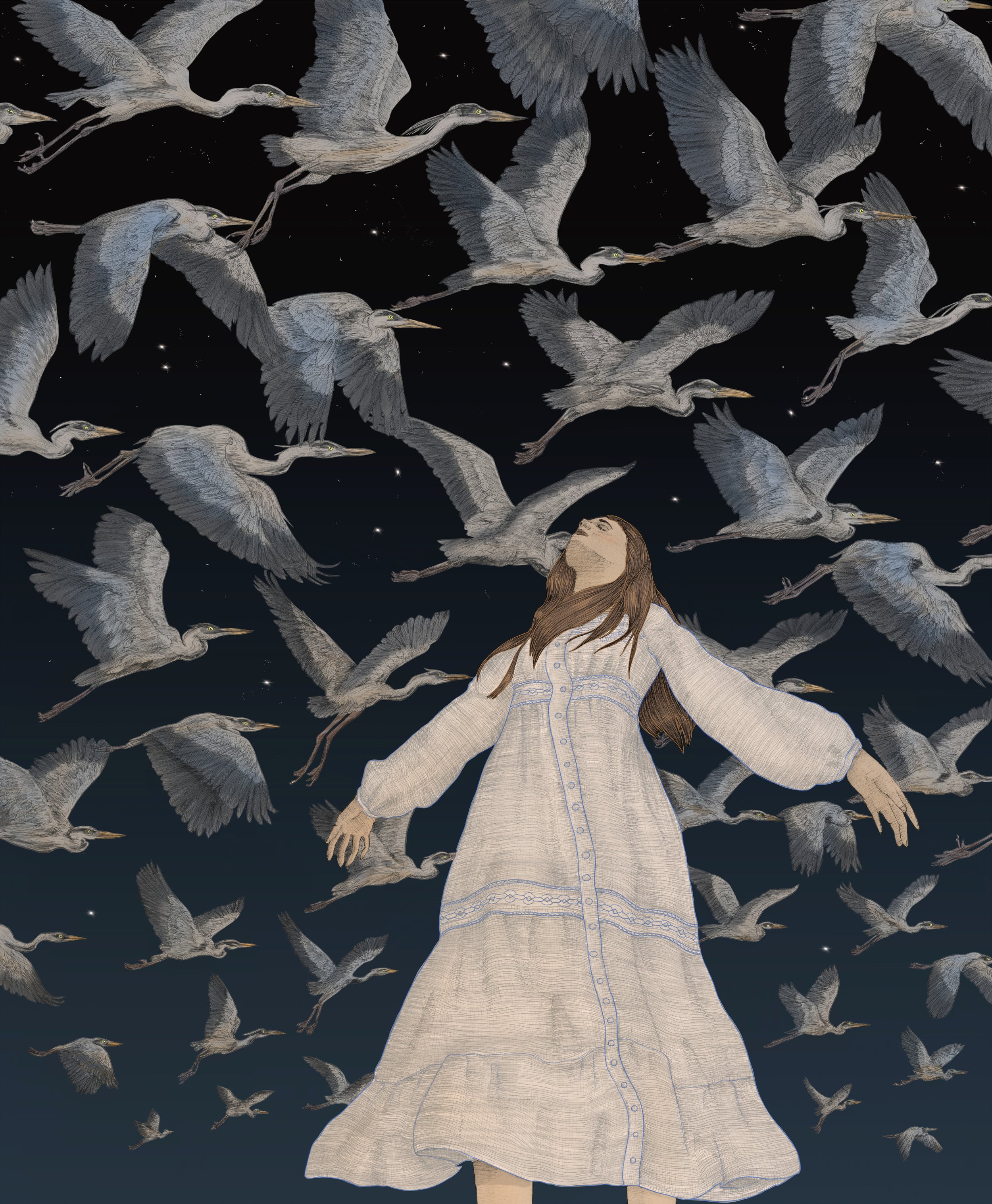 Fly Away Colour NIGHT ORIGINAL.jpg