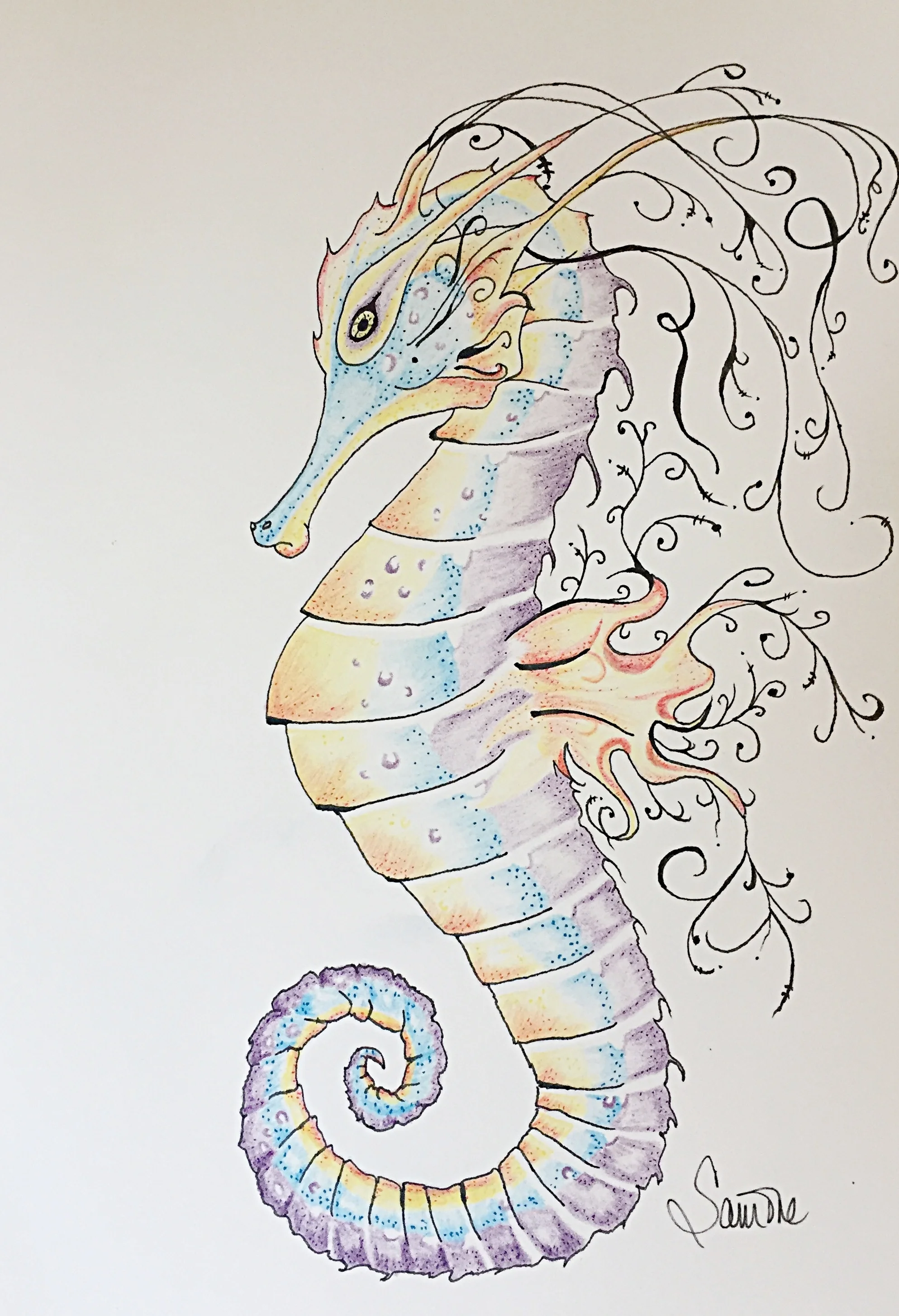 ScrollSeahorse.jpg