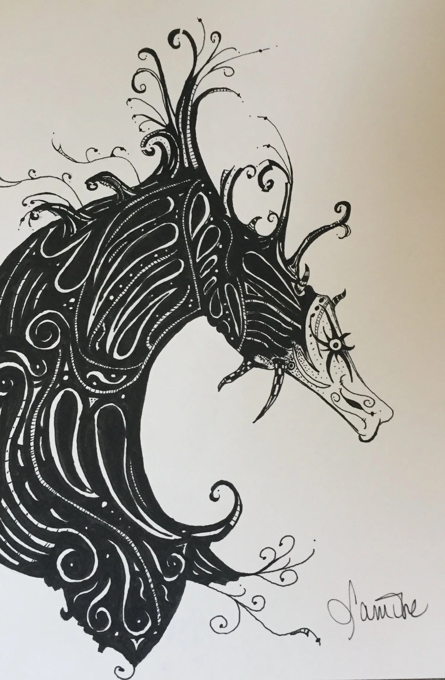 SeahorseKingHead.jpg