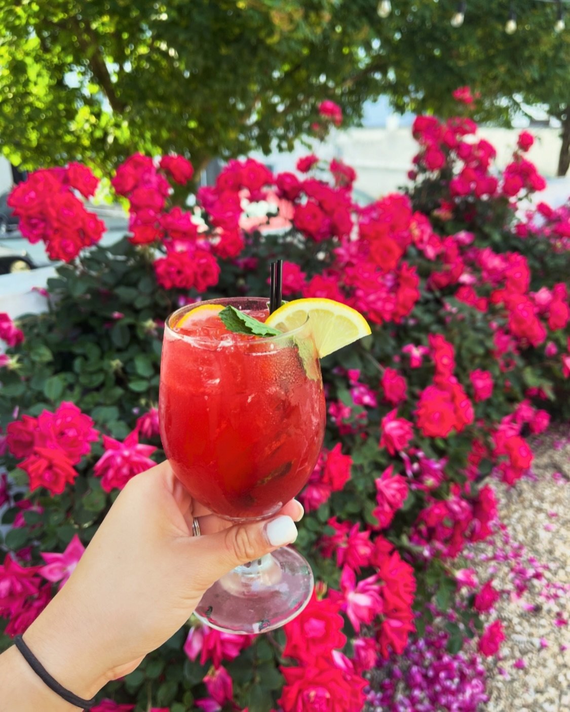 The Final Rose 🌹 

Empress Elderflower Rose Gin
Chambord
Lemon Raspberry 
Sparkling Water
