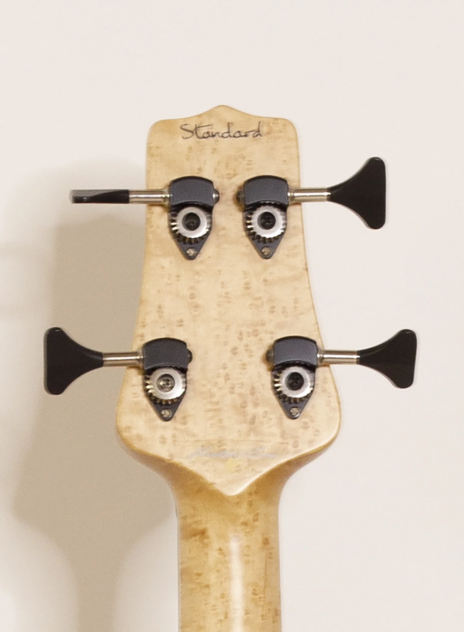 head rear.jpg