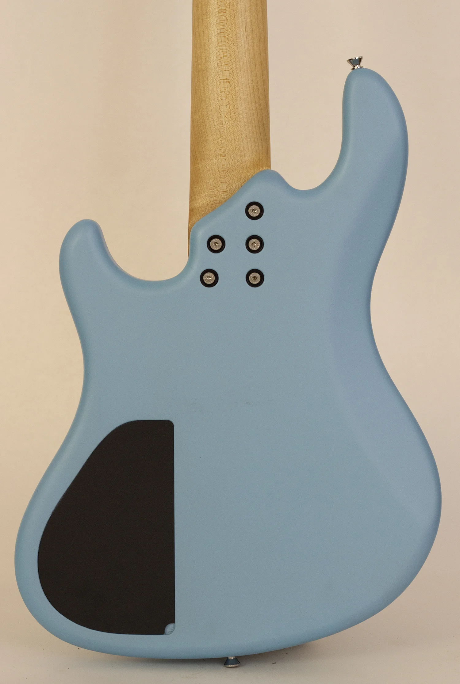 body rear.jpg