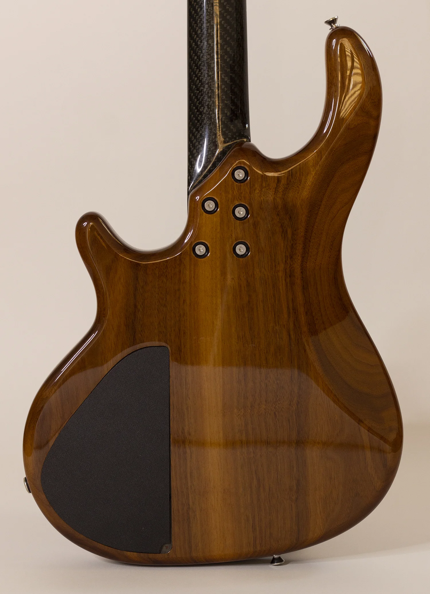 body rear.jpg