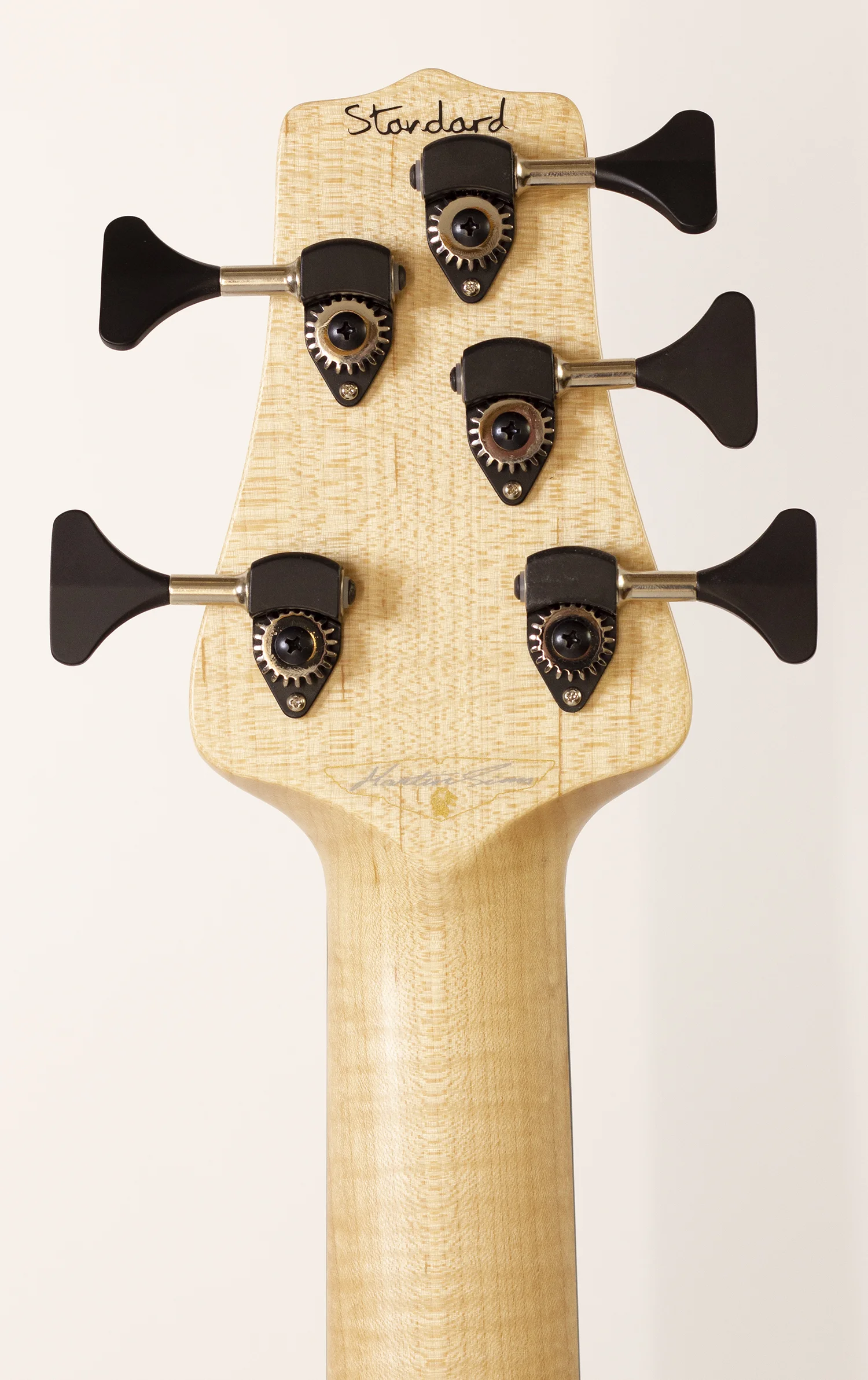 head rear.jpg