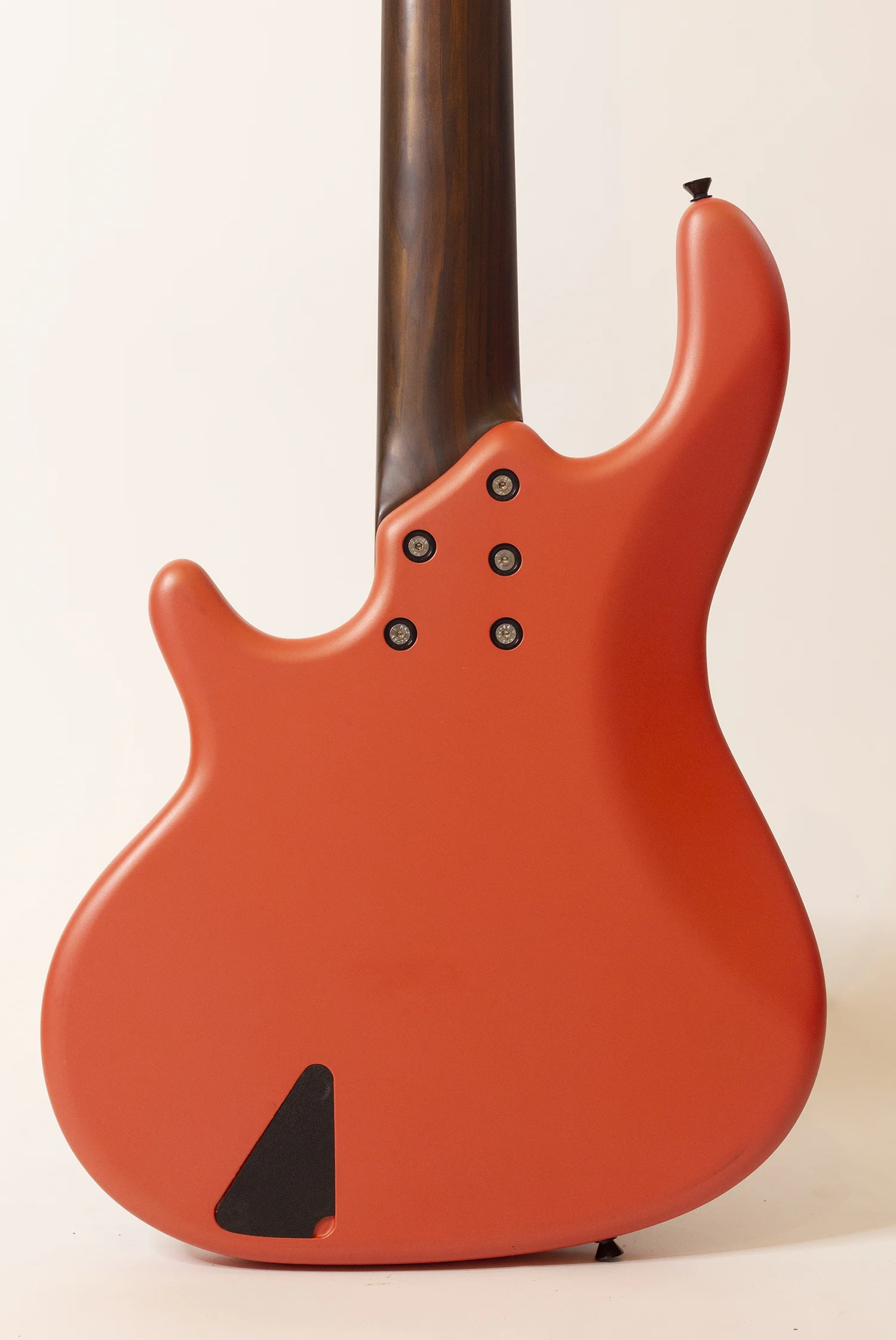 body rear.jpg
