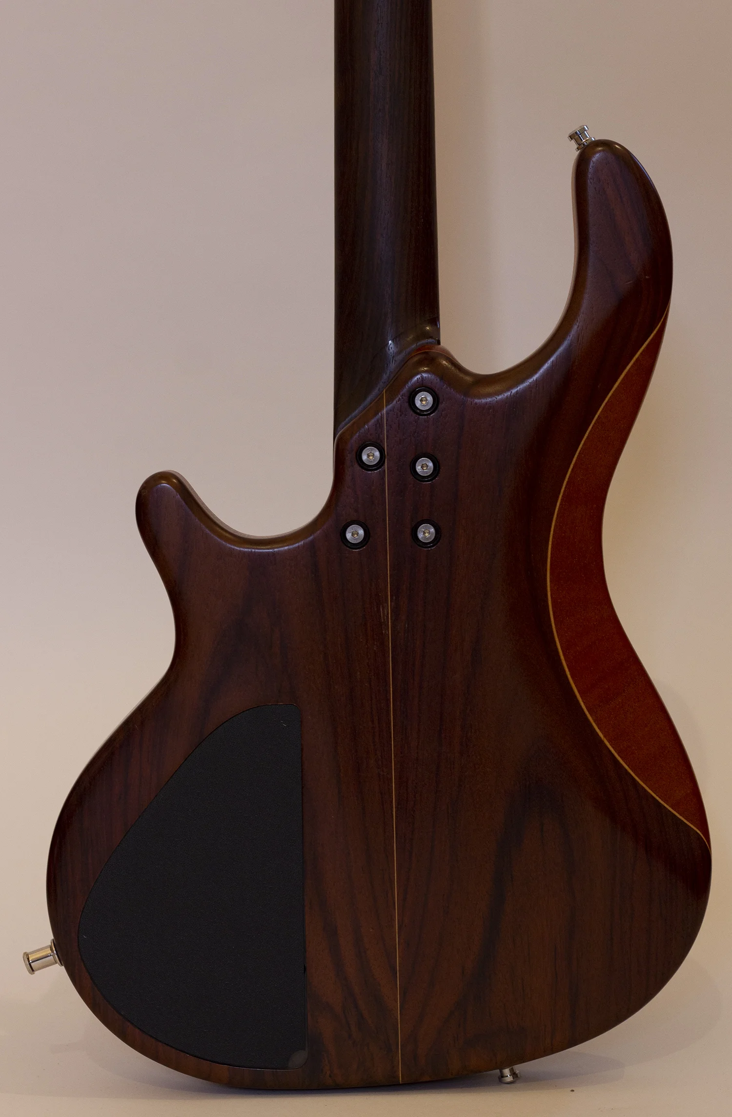 body rear.jpg