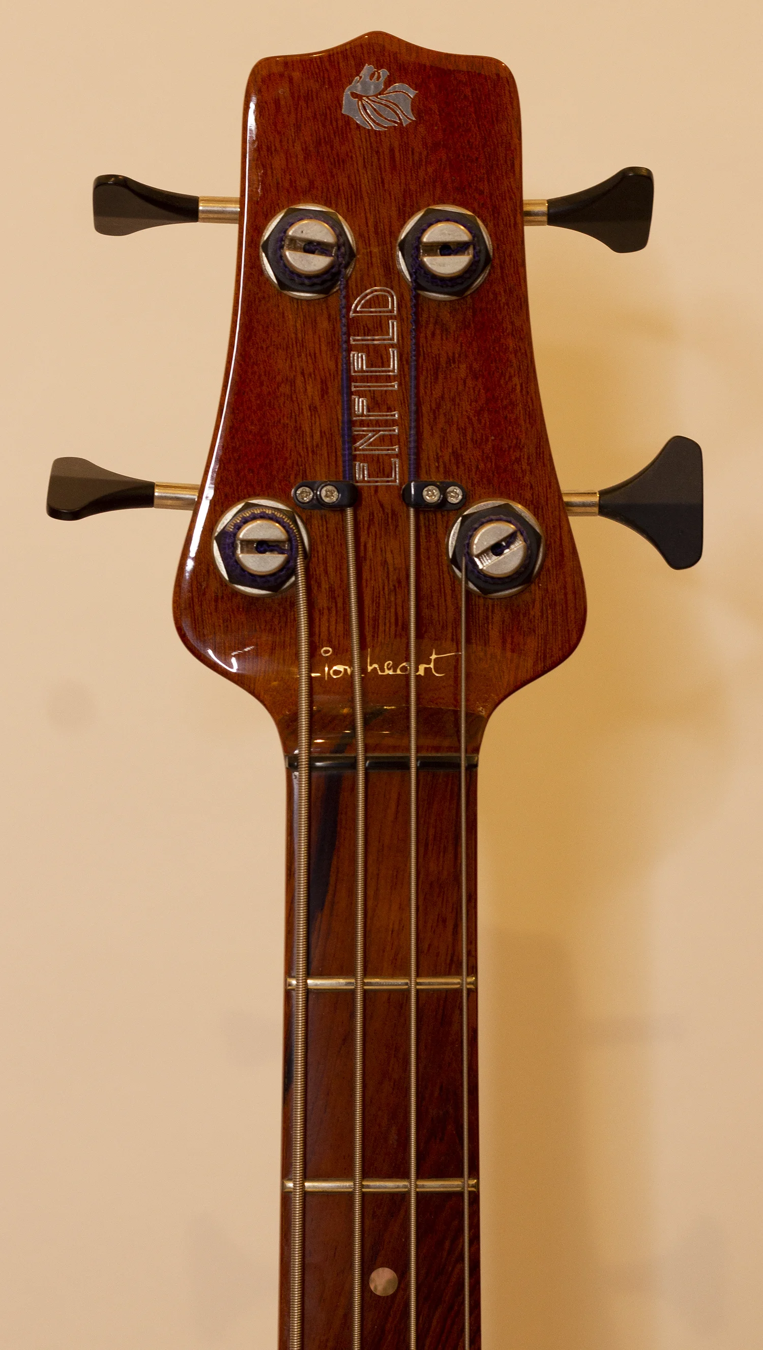 head front.jpg